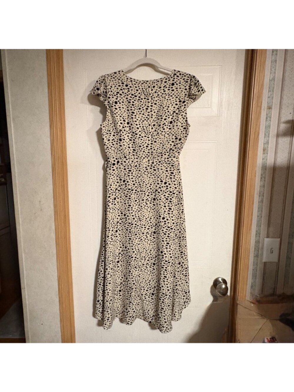 Like New BB Dakota Steve Madden High-Low Wrap Midi Dress Polka Dot Beige Black S - Picture 4 of 11